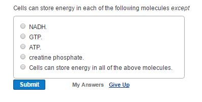 which of the following is used to store energy in cells