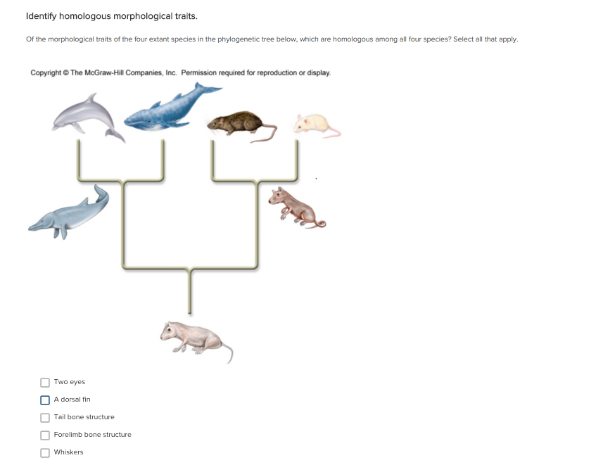 Solved Identify homologous morphological traits. Of the | Chegg.com