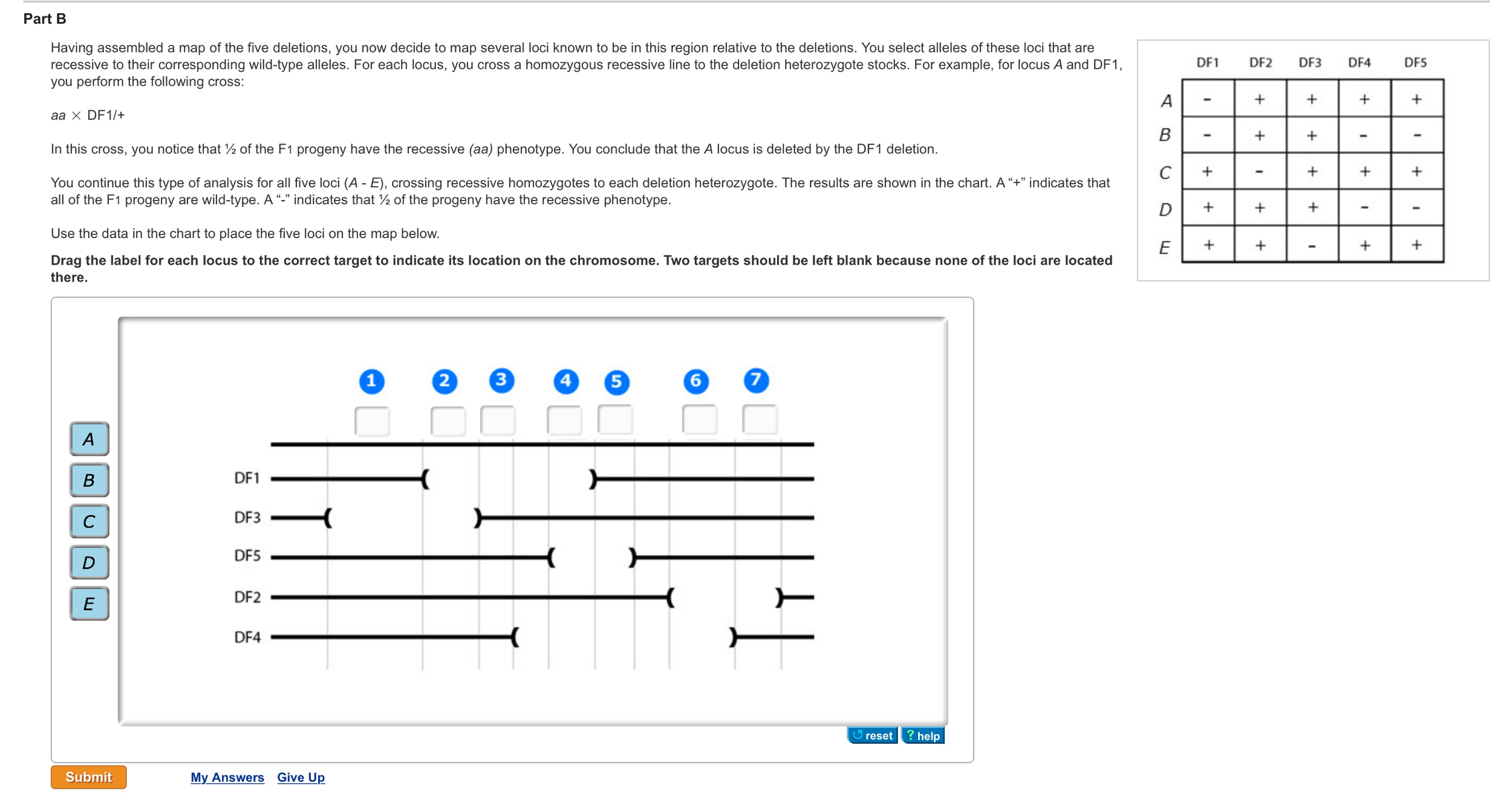 Solved Having assembled a map of the five deletions, you now | Chegg.com