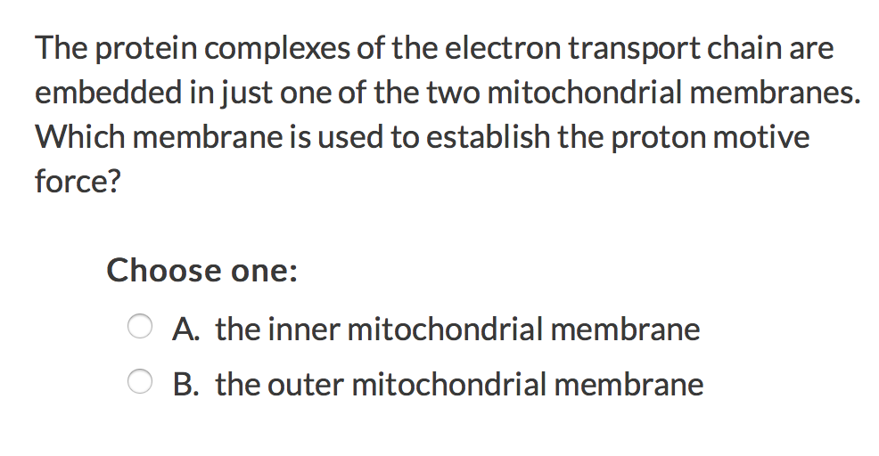 Solved The protein complexes of the electron transport chain | Chegg.com