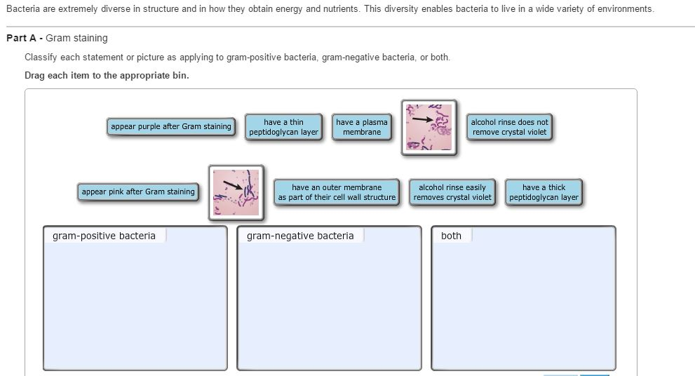 solved-bacteria-are-extremely-diverse-in-structure-and-in-chegg