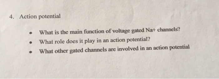 Action potential What is the main function of | Chegg.com