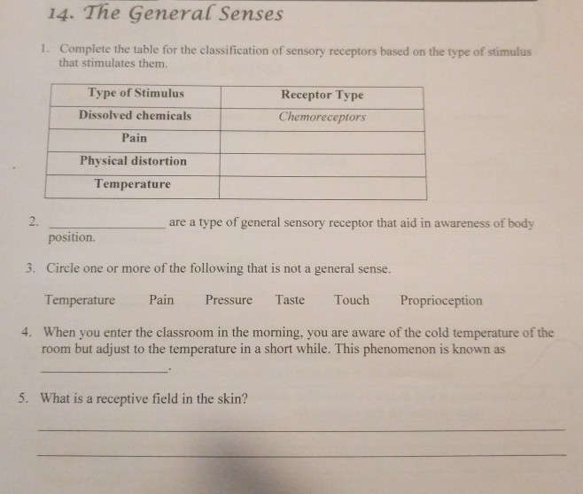 13-1-sensory-receptors-anatomy-physiology