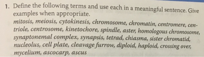 Solved Define The Following Terms And Use Each In A Chegg