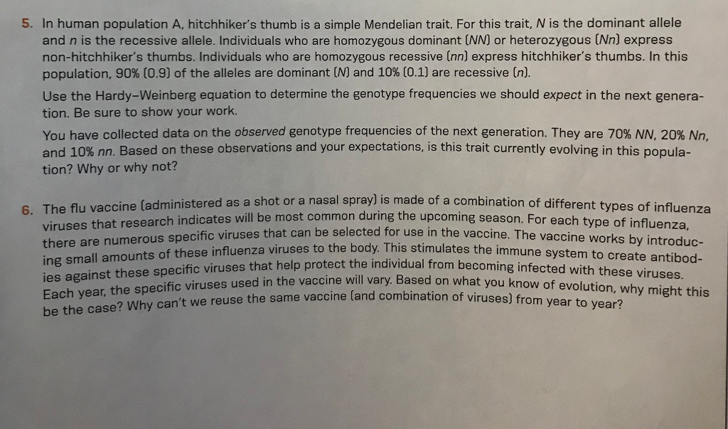 Solved 5. In human population A, hitchhiker's thumb is a