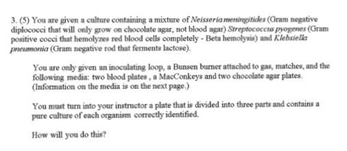 Solved Intro to Microbiology Lab Practical | Chegg.com