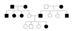 Solved Use the following pedigree to answer the following | Chegg.com