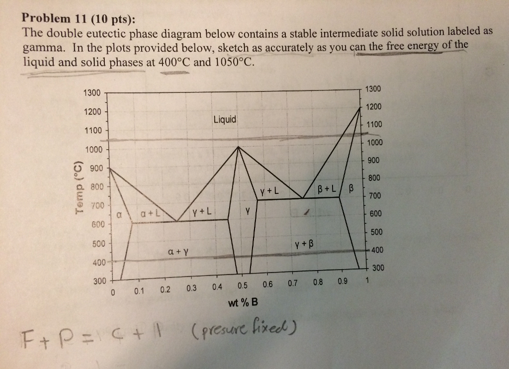 The double eutectic phase diagram below contains a | Chegg.com