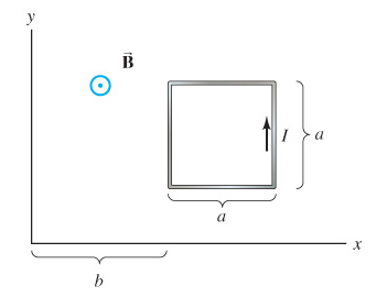 Solved The net force on a current loop whose face is | Chegg.com