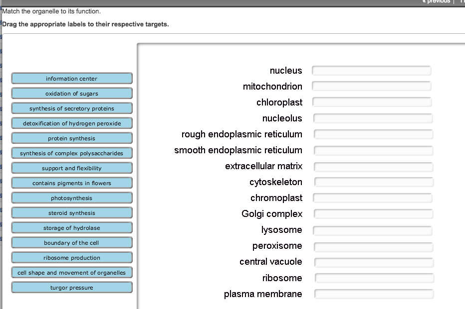 Solved Match The Organelle To Its Function. Drag The | Chegg.com