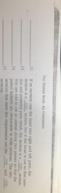 Solved Complete the following statements by choosing an | Chegg.com