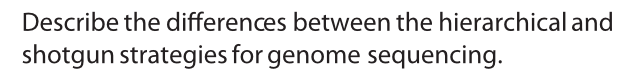 Solved Describe the differences between the hierarchical and | Chegg.com