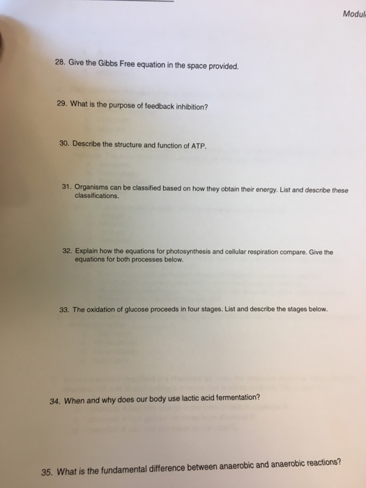 Solved give the gibbs free equation in the space provided chegg