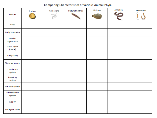 Solved: Comparing Characteristics Of Various Animal Phyla | Chegg.com