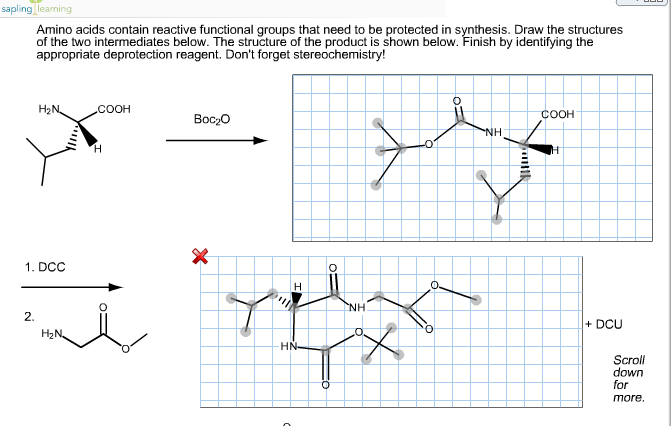 Solved Amino acids contain reactive functional groups that | Chegg.com
