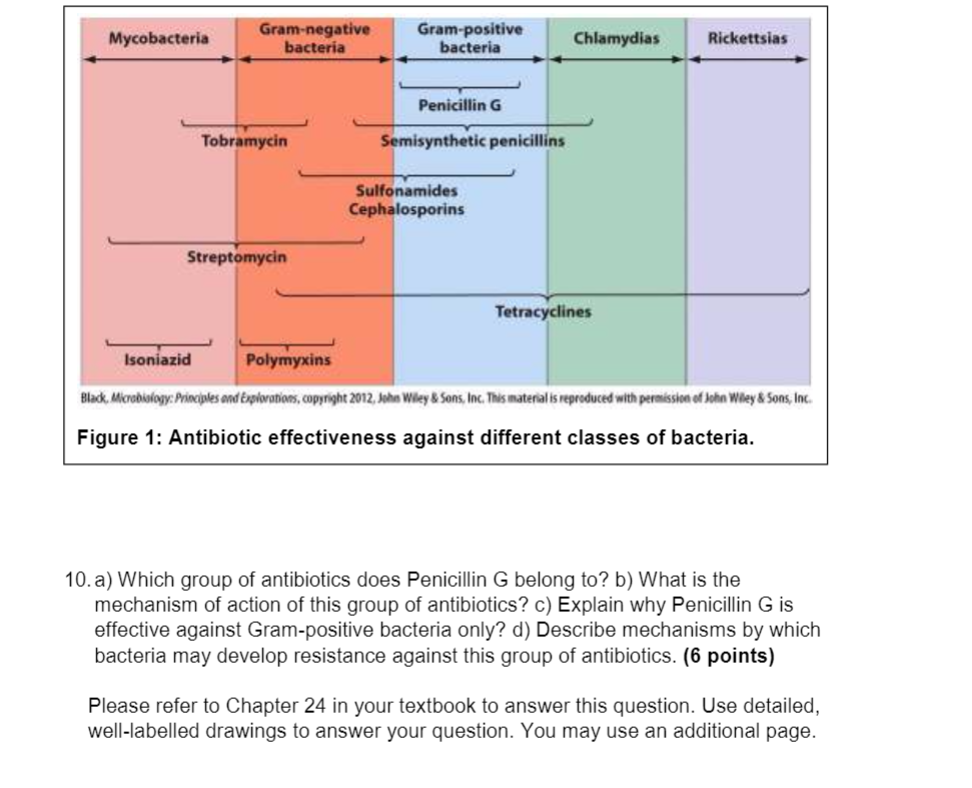 Solved Which group of antibiotics does Penicillin G belong | Chegg.com