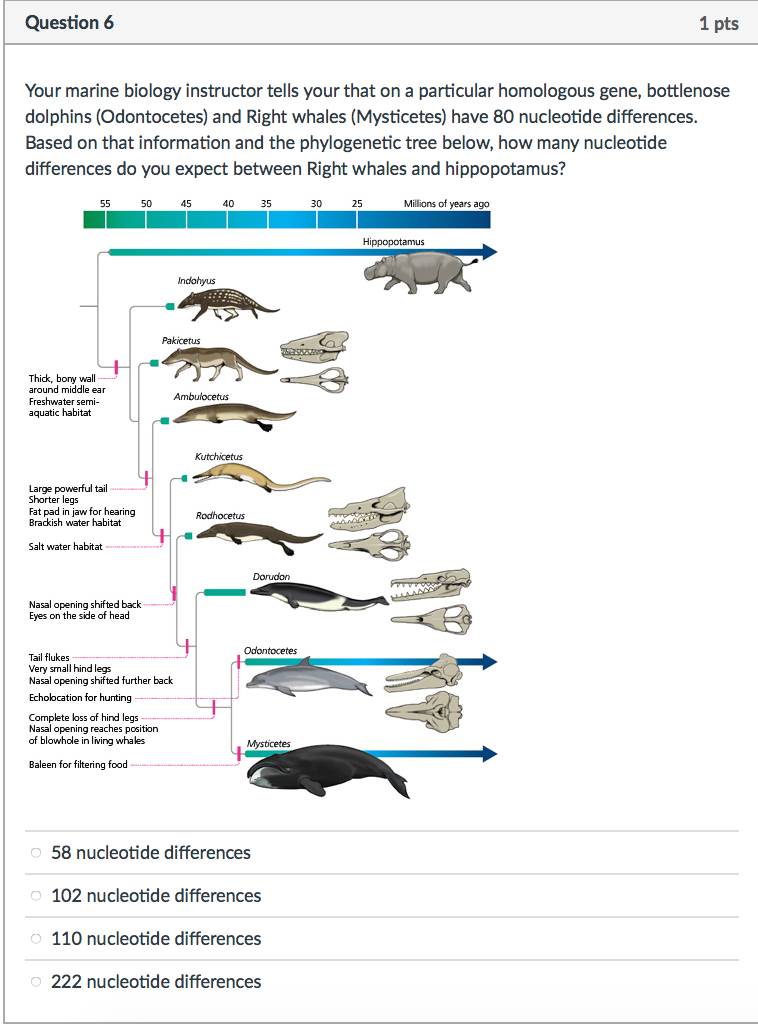 Solved Your marine biology instructor tells your that on a