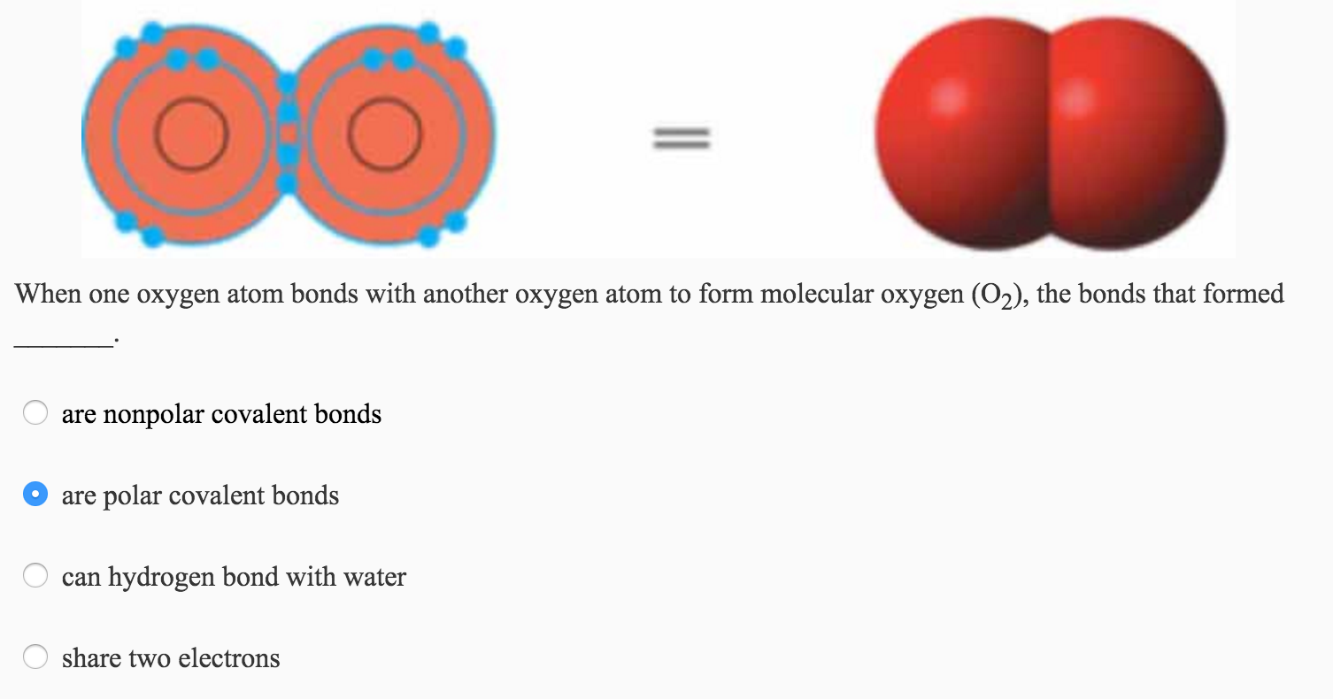 biology-archive-january-17-2016-chegg