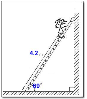 Solved A 56 kg person stands on a uniform 16 kg, 6.4 m long | Chegg.com