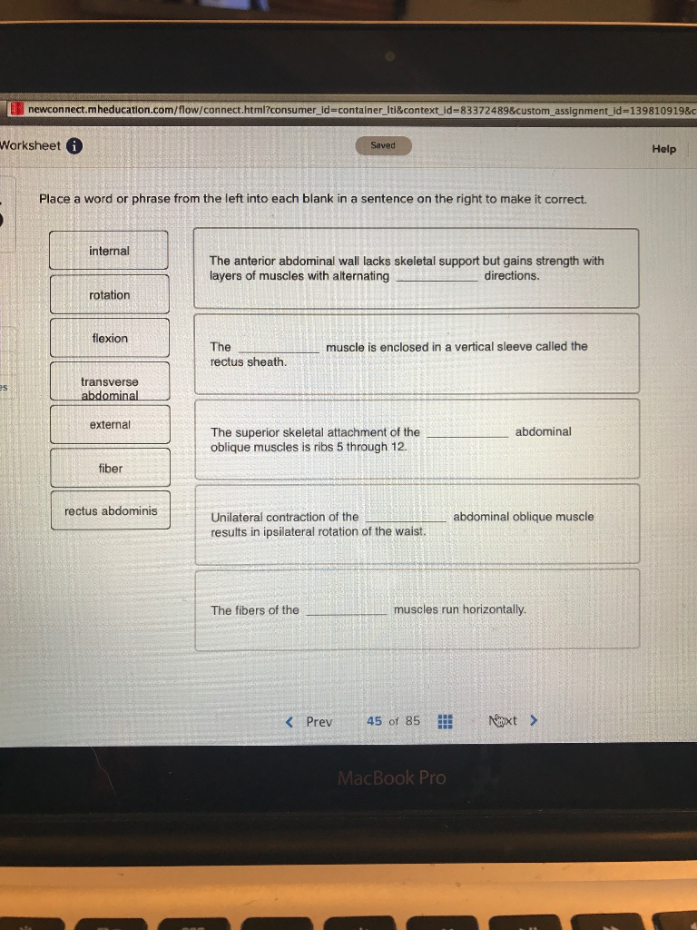 Solved Place a word or phrase from the left into each blank