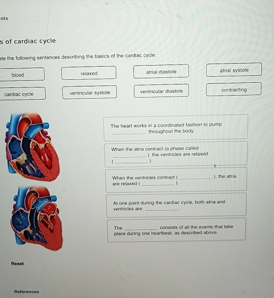 Solved the following sentences describing the basics of