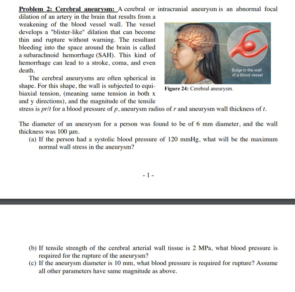 Solved Problem 2 Cerebral Aneurysm A Cerebral Or Chegg