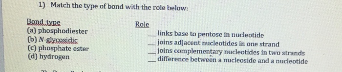 Solved Match the type of bond with the role below: | Chegg.com