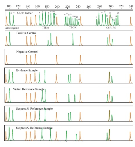 Suspect Profiling Chart Solved The crime was featured on BBC's Crimewatch program in | Chegg.com