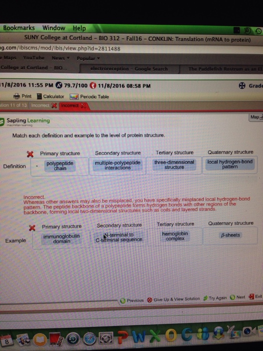 Solved match each definition and example to the level of | Chegg.com