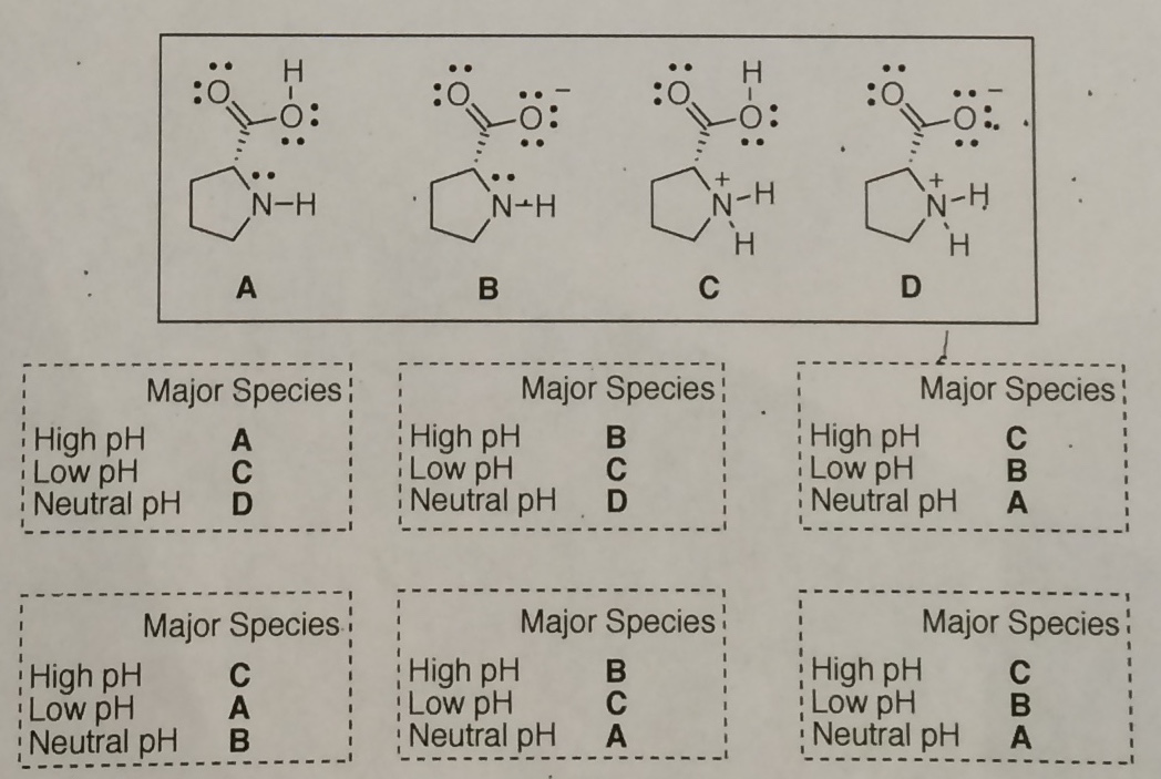 Solved Which Is The Correct Set Of Assignments (circle One | Chegg.com