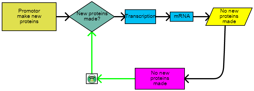 solved-what-does-it-mean-for-a-gene-to-be-expressed-in-chegg