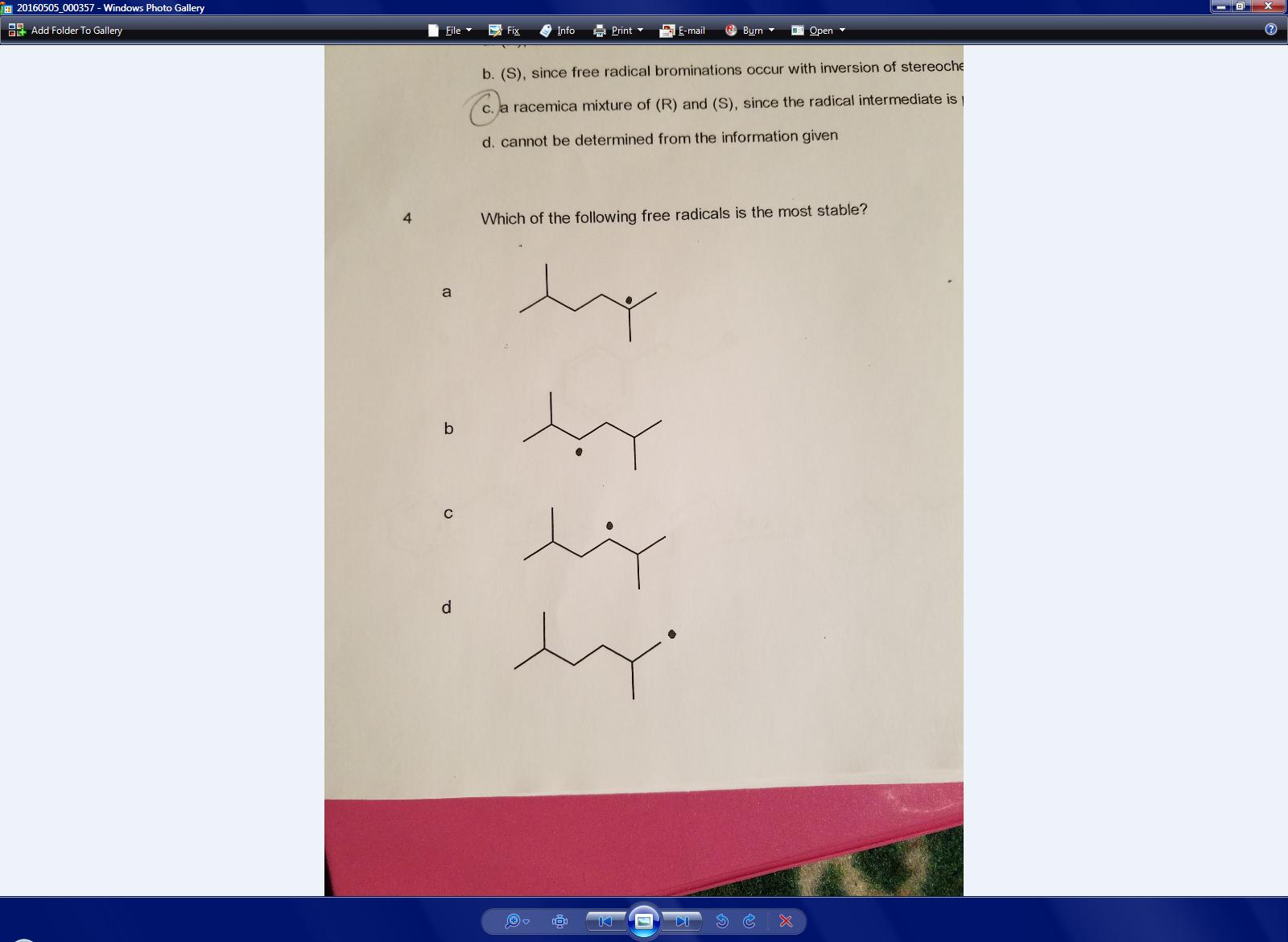 Solved Which Of The Following Radicals Is The Most Stable? | Chegg.com