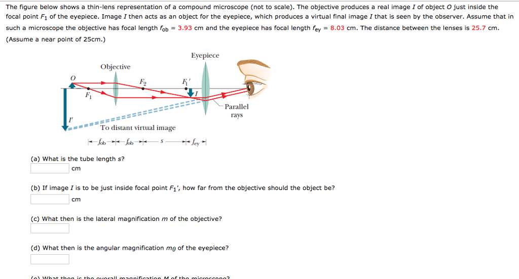 Solved The figure below shows a thinlens representation of