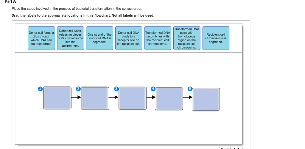 Solved Part A Place the steps involved in the process of | Chegg.com