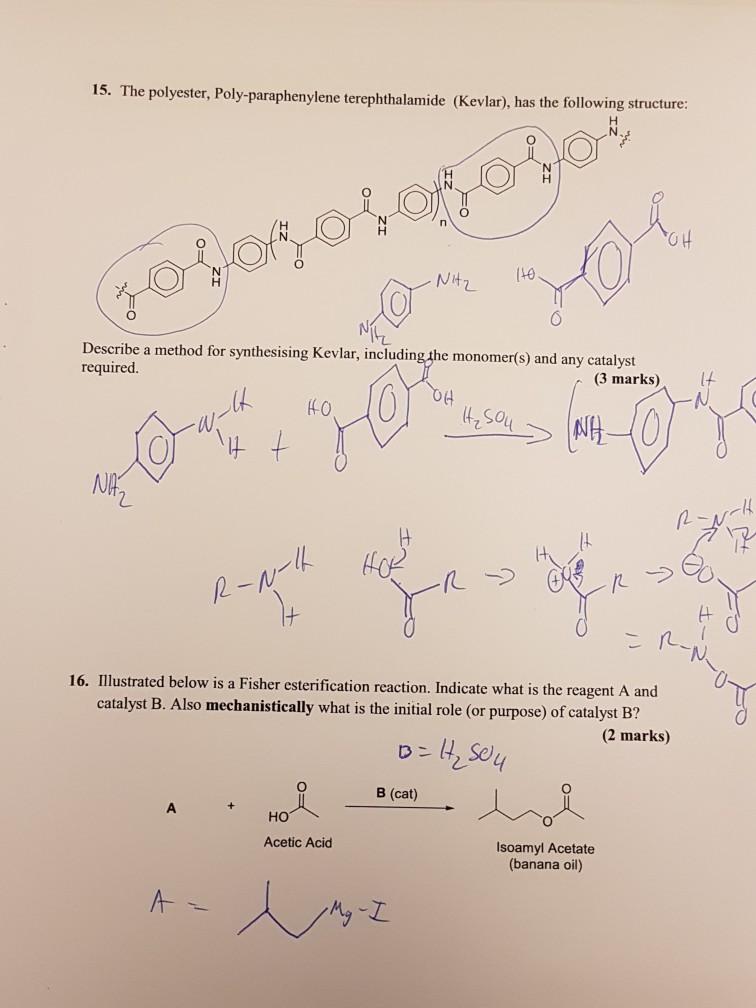 Solved 15. The polyester, Poly-paraphenylene terephthalamide | Chegg.com