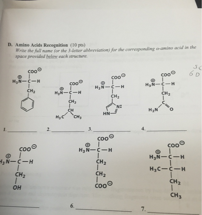 Solved Amino Acids Recognition Write the full name (or the | Chegg.com