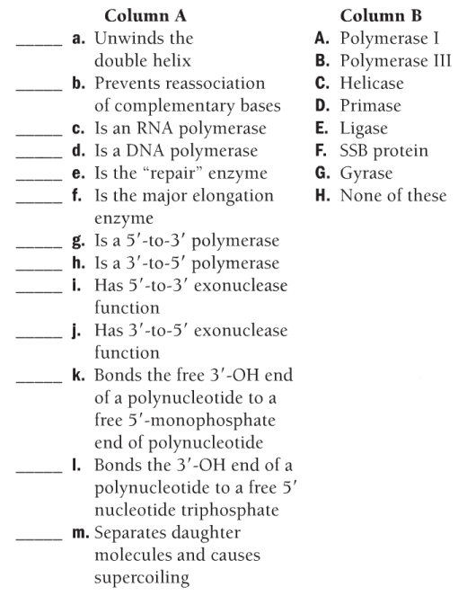 Solved a. Unwinds the double helix b. Prevents | Chegg.com