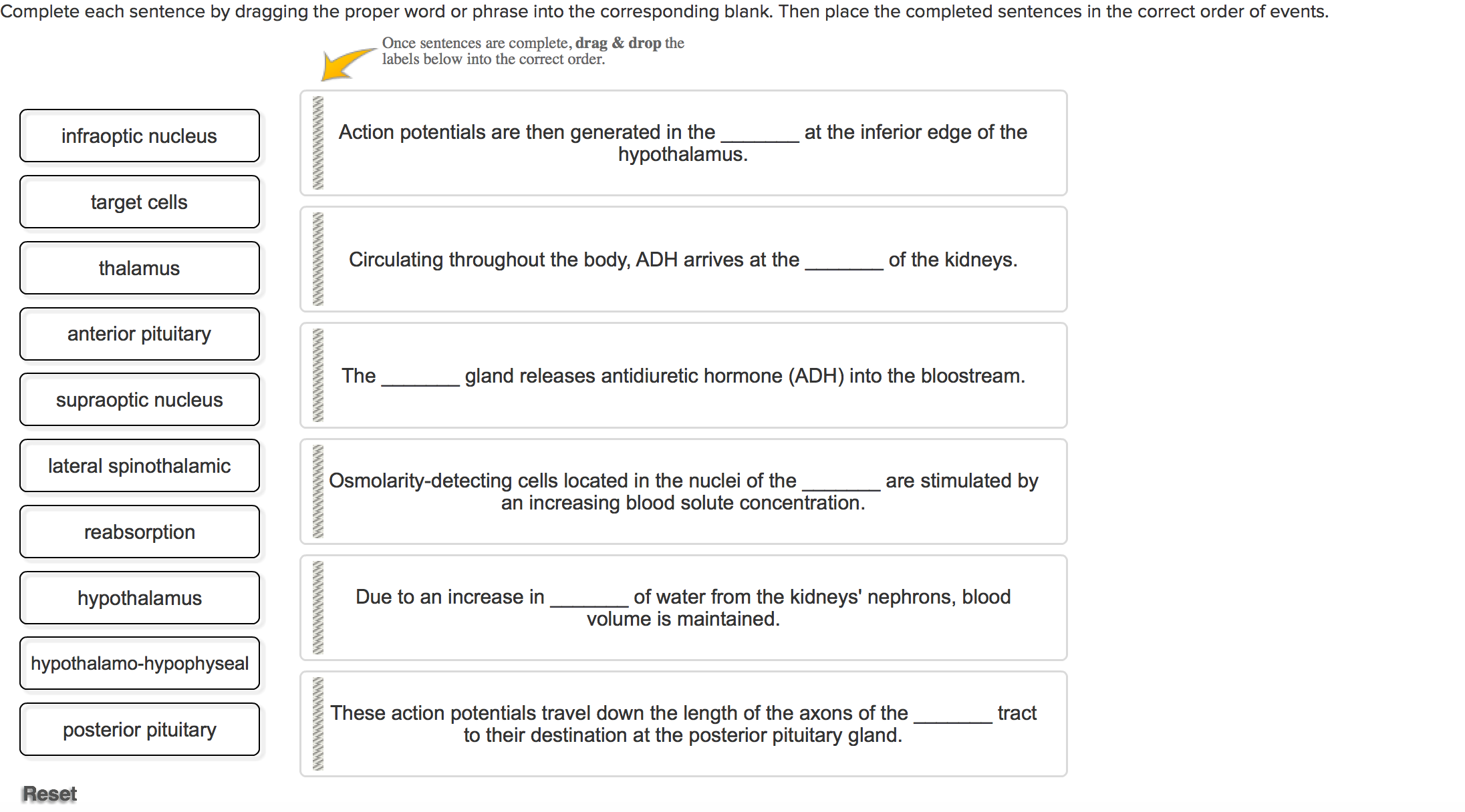 Solved Complete Each Sentence By Dragging The Proper Word Or | Chegg.com