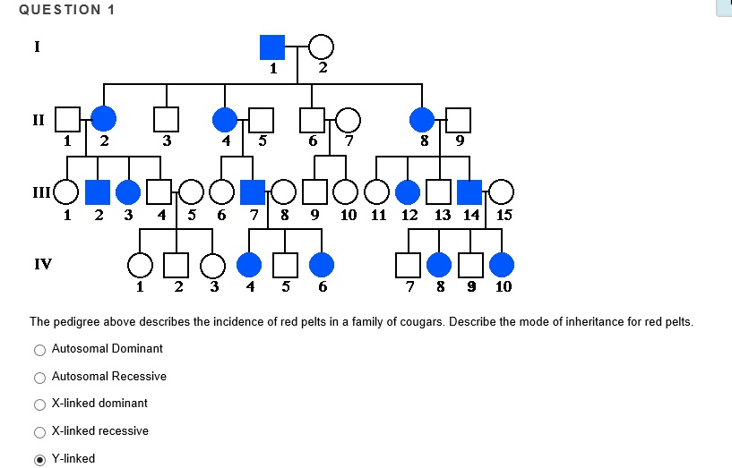 Solved QUESTION 1 2 3 1 2 3 45 6 78 9 10 11 12 13 14 15 IV 1 | Chegg.com