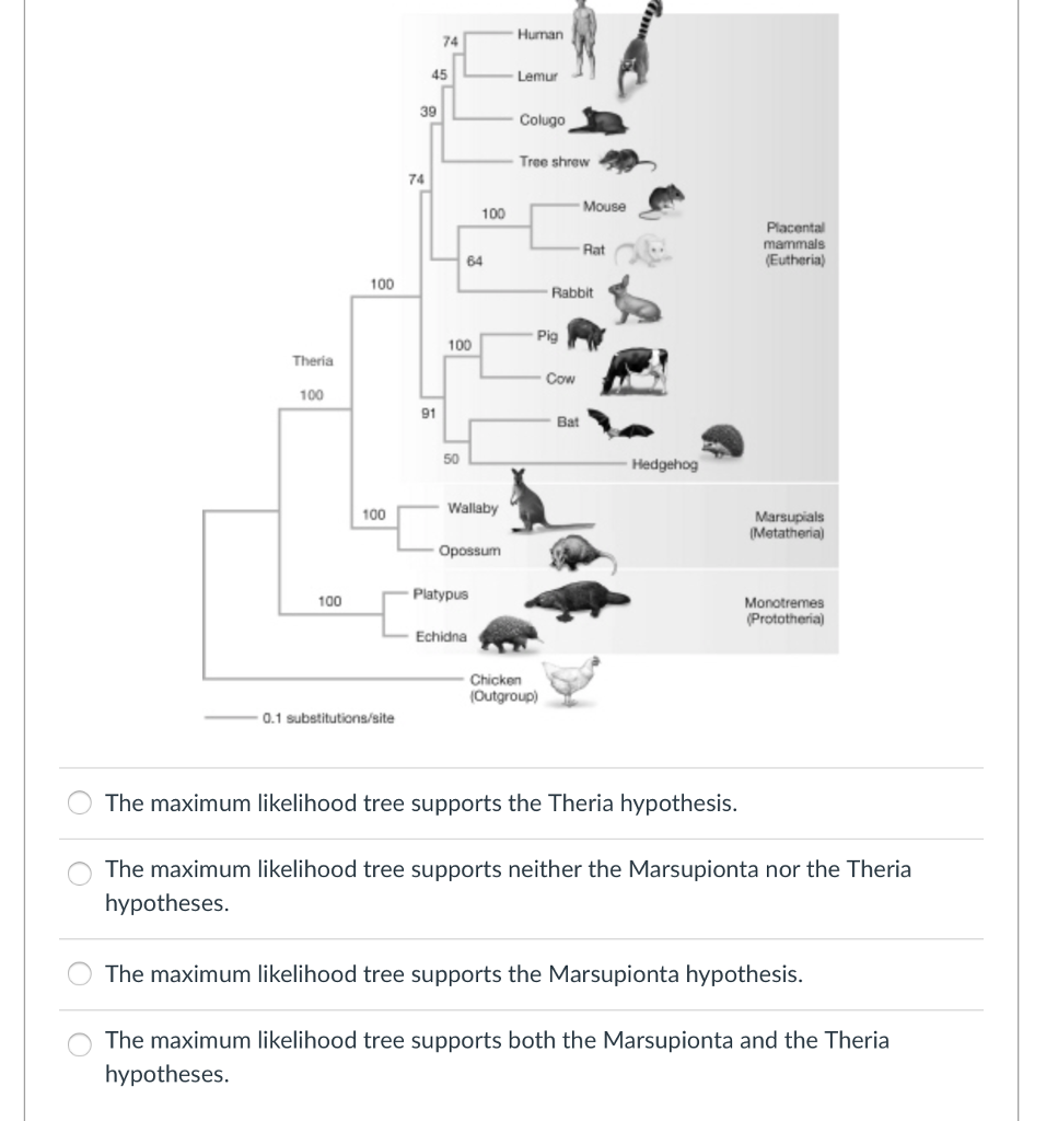 Solved D Question 2 1 pts Why do evolutionary biologists say | Chegg.com