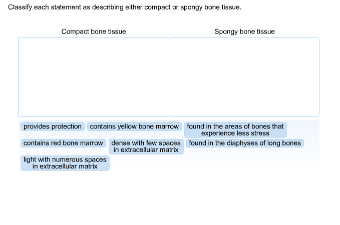 Solved Classify each statement as describing either compact | Chegg.com