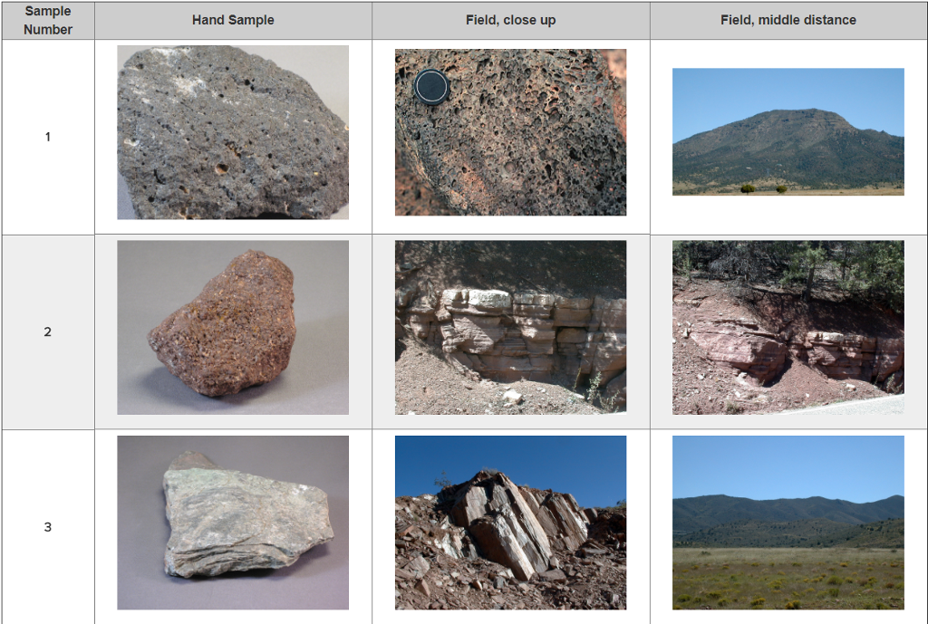 Solved Sample Number Hand Sample Field, close up Field, | Chegg.com