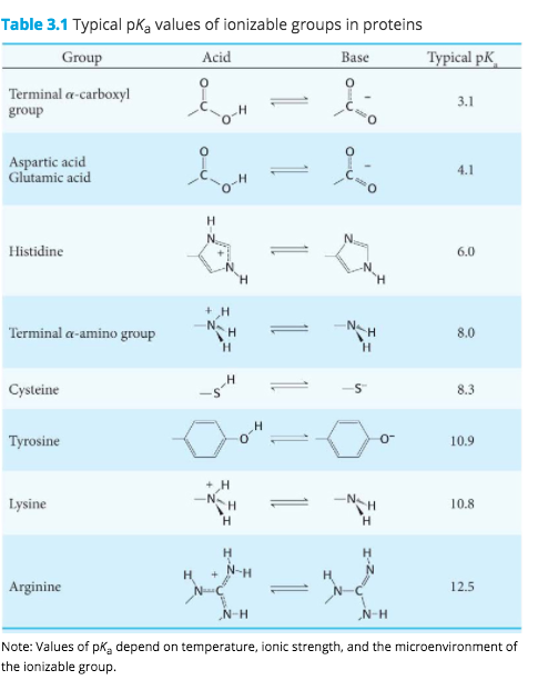 Solved 1. Which of the following amino acids exists | Chegg.com