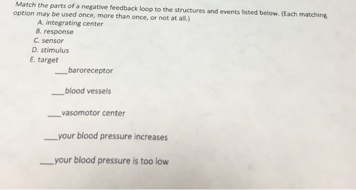 Solved Match The Parts Of A Negative Feedback Loop To The Chegg