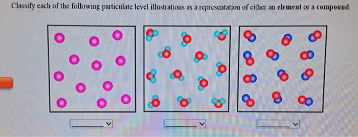 Solved Classify each of the following particulate level | Chegg.com