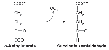 Solved Certain microorganisms with a modified citric acid | Chegg.com