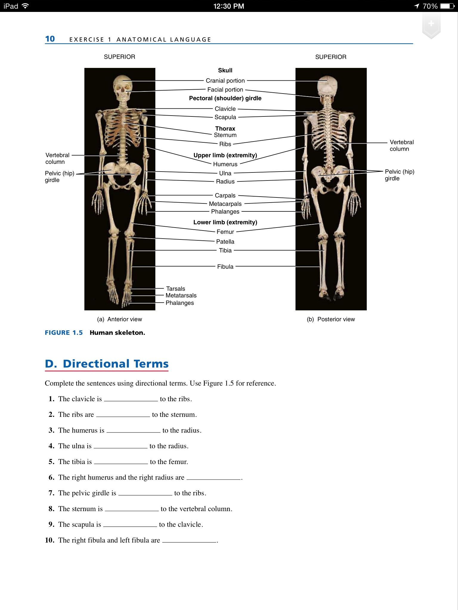 Complete the sentences using directional terms. Use | Chegg.com