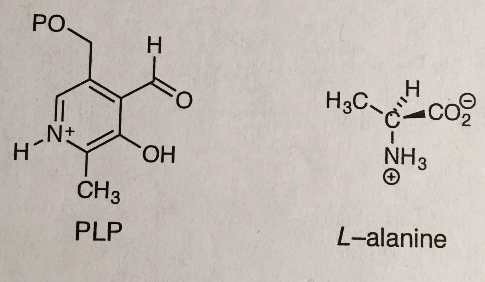 solved-a-racemase-is-an-enzyme-that-catalyzes-a-racemization-chegg