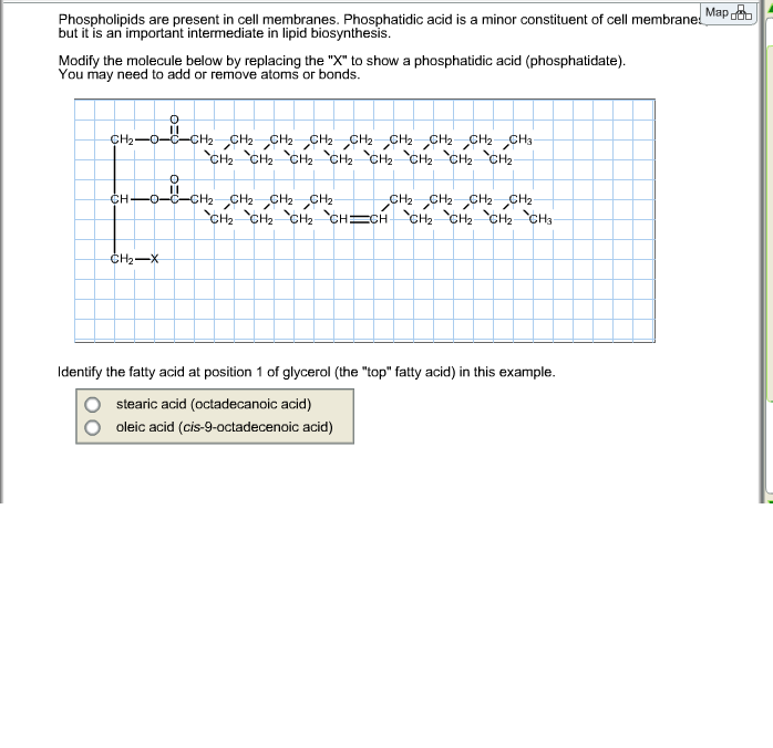 solved-phospholipids-are-present-in-cell-membranes-chegg