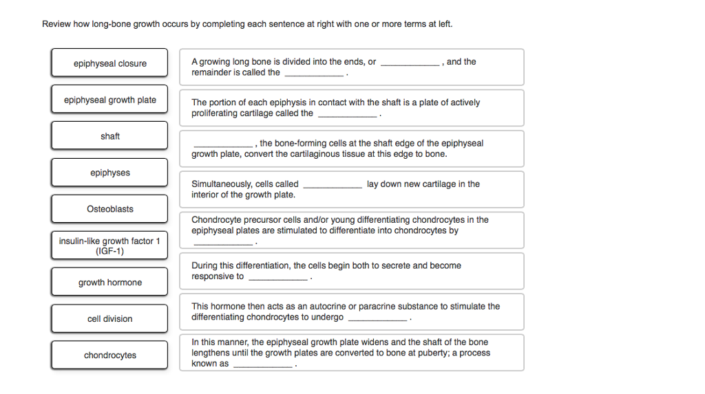 Solved Review how long-bone growth occurs by completing each | Chegg.com